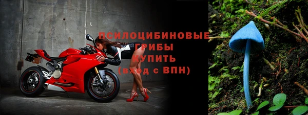 бошки Алзамай